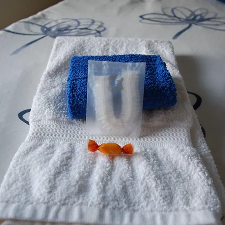 La Rosa Scarlatta Broseta Πανσιόν Μπέργκαμο