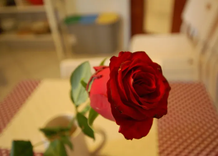 Penzion La Rosa Scarlatta Broseta Bergamo