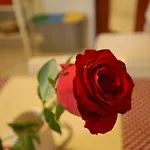 Gæstehus La Rosa Scarlatta Broseta Bergamo